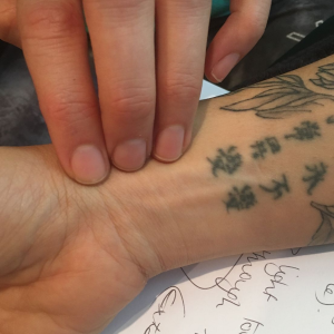 Japanese Hara and Classical Pulse Diagnosis