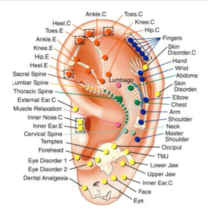 FastTrack Ear Acupuncture