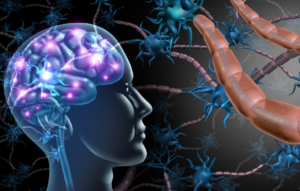 Can TCM help people cope with neurodiversity